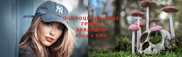 apvp Горнозаводск