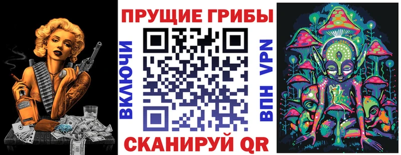 цены   Кондрово  Псилоцибиновые грибы MAGIC MUSHROOMS 